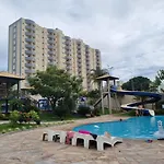 Golden Dolphin